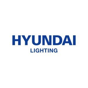 Hyundai Products